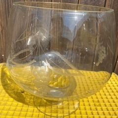 ワイン型ガラス鉢中25センチ