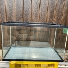 ニッソー 600水槽ガラス 観賞魚No.93