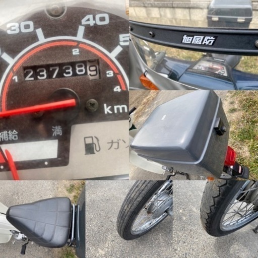 セット割‼️高さ100㎝前後❗️】シマトネリコ 株立ち 10本立ち以上 2本