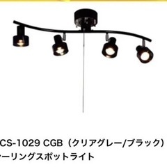 CUBE シーリングスポットライト CCS-1029 