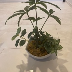 観葉植物　人工