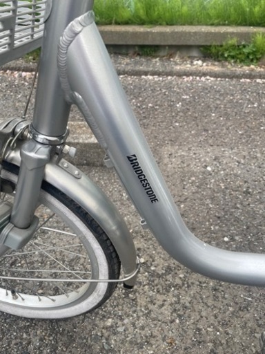 一宮市近郊限定]ミントグリーン 大人用三輪自転車 前後バスケット付