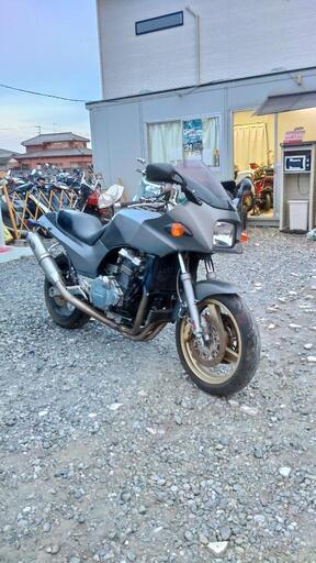 GPZ900R ニンジャ　南アフリカ仕様？