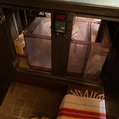 決定しました】オーバーフローガラス水槽セット 特注1200×580×530