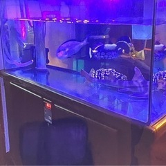 決定しました】オーバーフローガラス水槽セット 特注1200×580×530