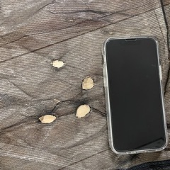 コールマン　タフスクリーン2ルームハウス/ＬＤＸ＋　Coleman