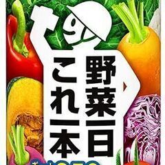 カゴメ 野菜一日これ一本 野菜汁100％  190g　緑黄色野菜...