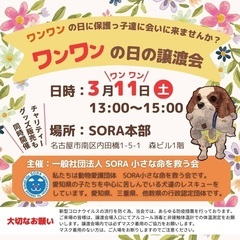 一般社団法人SORA小さな命を救う会:名古屋市南区 保護犬の譲渡会