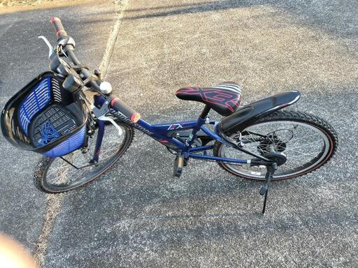 子供用自転車 ブリジストン エクスプレスジュニア 22インチ