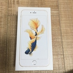 iPhone6SPlus箱のみ