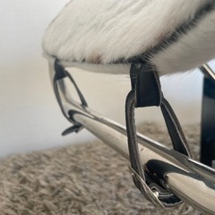 COMET TWINKLE 03-RSストロボ-ル・コルビジェ　LC4  シューズロング