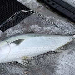 糸魚川市で6日船釣り（ジギング）仲間募集です。