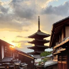 ⛩️京都のまだ行ったことない場所探検🐕️楽しそうな場所発見しませ...