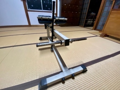 シーテッド・カーフレイズ　マシン