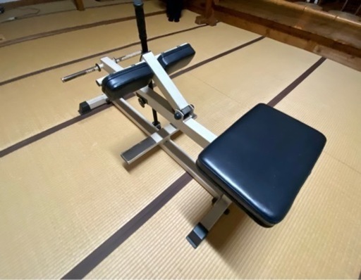 シーテッド・カーフレイズ　マシン