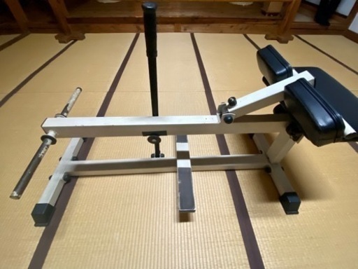 シーテッド・カーフレイズ　マシン