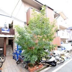 ✅当社だけ⁉️✨初期費実質💴５万円ﾎﾟｯｷﾘ入居可➕✅1カ月ﾌﾘ...