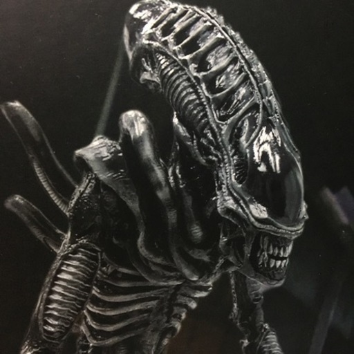 ☆HOTTOYS エイリアンウォーリアー フィギュア | noonanwaste.com