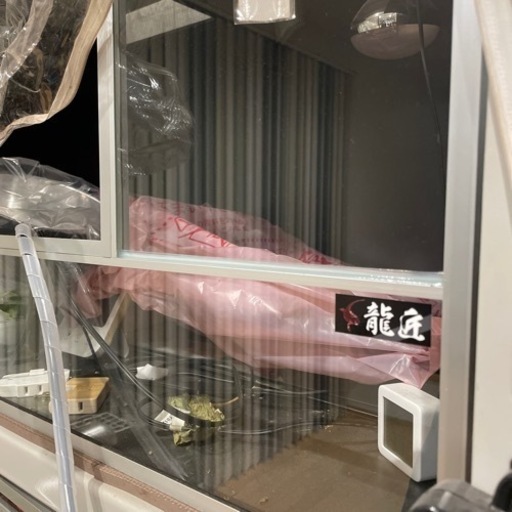 爬虫類 龍匠ゲージ 新品未使用品 | centroclinicoaveiro.pt