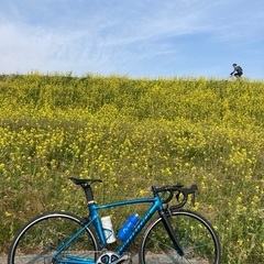 スペシャライズド　アレースプリント　allez sprint