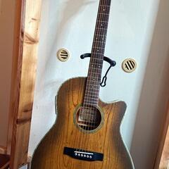 ROCKINGER #薄型エレアコ 】