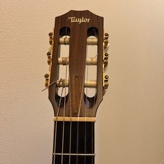テイラーTaylor 714ce-N エレガット　ギター　美品