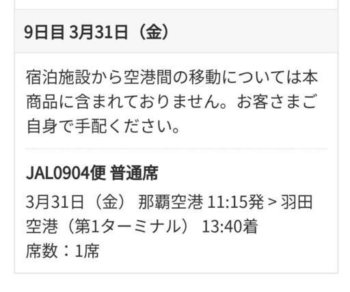 JAL　沖縄→羽田　片道チケット
