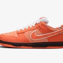 Nike SB Dunk Low concepts  US9.5...
