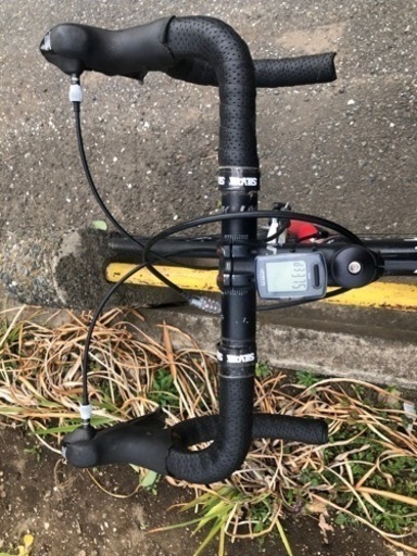 GIANT SCR1