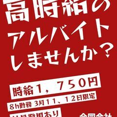 【3月11、12日限定】ヨドバシカメラでのドコモPRスタッフ