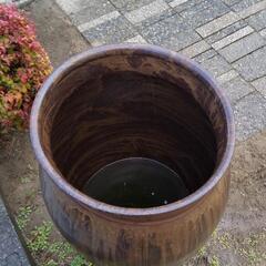 格安‼️特大88cm高‼️古い唐津焼大龜①甕、瓶、壺、水瓶