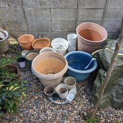 【無料】植木鉢　陶器鉢　プラスチック鉢　大量