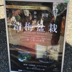 リバティリゾート久能山フリーマーケット26日開催❣️ - フリーマーケット