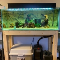 GW期間限定 1200×450×300 OF水槽 早い者勝ち 引取早期優先