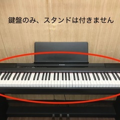 電子ピアノ　Donner 88鍵盤 １箇所音の不具合あり