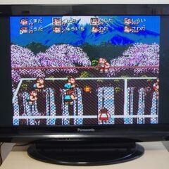 パナソニック　ビエラ　プラズマテレビ　37型　th-p37x1　...