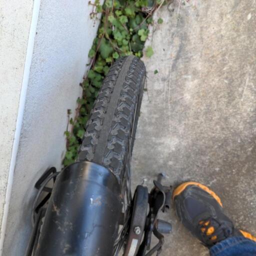 ミズタニ SERAPH F451 折り畳みスポーツ車 20インチ