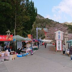 播州成田山春の大祭「開運不動市」