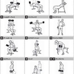 パワーブロック　正規品