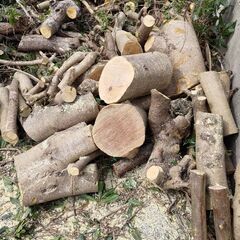 伐採した木　薪など