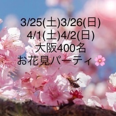 桜を見ながら友達作り🌸3/25(土)＆3/26(日)& 4/1(土)＆4/2(日)【合計400名】桜ノ宮♩お花見🌸の画像