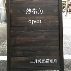 熱帯魚店　譲ります