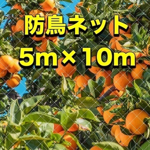 強力‼︎  ⭐️ 防鳥ネット5m×10m ⭐️鳥よけ　害鳥　家庭菜園　畑　田んぼ