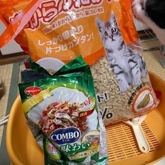 猫用品 3点セット 猫砂 子猫用トイレ キャットフード