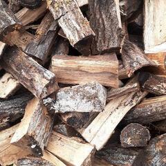 期間限定】薪(未乾燥) 広葉樹 軽トラ平積み