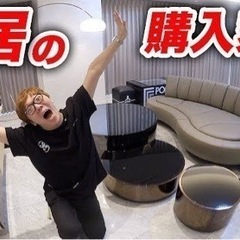 【定価289万円】　デセデ　ソファ　DS-164 couch    No.176