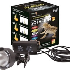 非売品！極めてレアな100枚シート 昭和24年 衆議院議員選挙事務用 加刷 非売品！極めてレアな100枚シート 昭和24年 衆議院議員選挙事務用 加