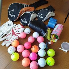 キャロウェイ　レディース　ゴルフセット　＋　FILAアイアンセット