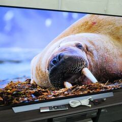 1ヶ月保証/直接引取のみ対応/有機ELテレビ/TV/55インチ/55型/4K/