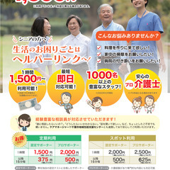 【船橋市三山にて、毎週水（または金）15:00～16:00お掃除＆話し相手、人懐っこい猫ちゃんがいます♪】 - 船橋市